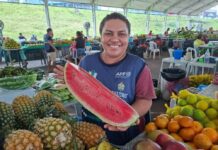 Feiras regionais de Manaus mudam cronograma devido ao Carnaval