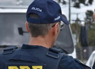 Cinco morrem em colisão entre van e caminhão na BR-020 em Planaltina