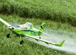 Agrotóxicos mais nocivos globalmente, Brasil entre os líderes em toxicidade, aponta estudo