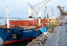 Tarifas dos EUA: 46% das exportações brasileiras são poupadas de novas sobretaxas