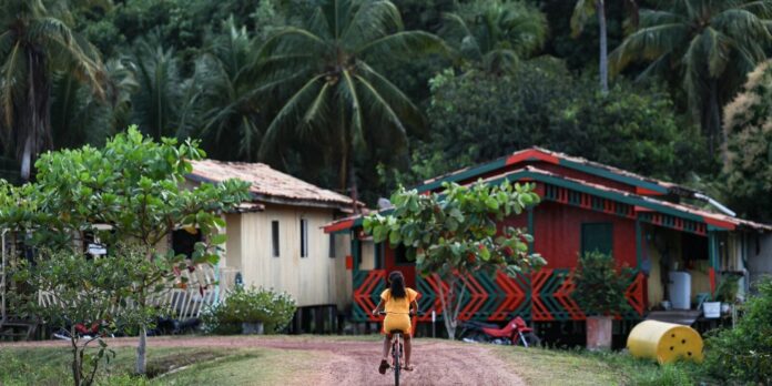 Amazônia Legal registra quase metade dos conflitos agrários do Brasil em 2023