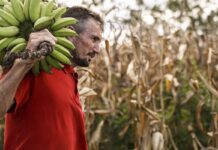 Câmara aprova uso de recursos do FGO para operações do Pronaf