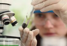 Observatório Nacional abre edital para programa Meninas Cientistas no Rio de Janeiro