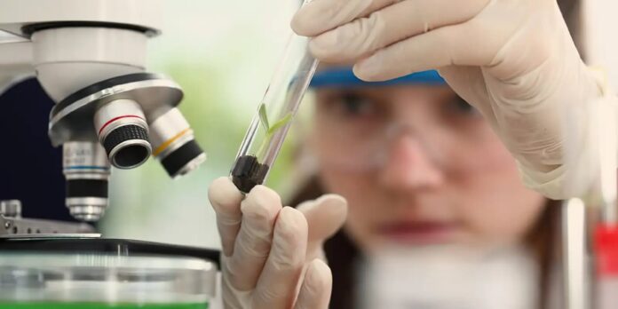 Observatório Nacional abre edital para programa Meninas Cientistas no Rio de Janeiro