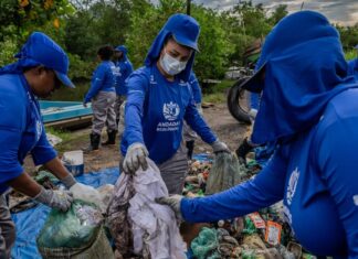 Comunidade transforma cenário ambiental da Baía de Guanabara com projetos de limpeza e moedas azuis