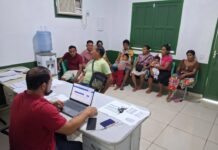 Itamarati: Idam apoia expansão do cultivo de coco de murumuru com foco no alto Rio Juruá