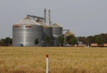 Brasil se destaca no G20 com sexto maior crescimento econômico em 2025