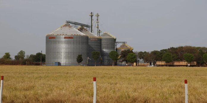 Brasil se destaca no G20 com sexto maior crescimento econômico em 2025