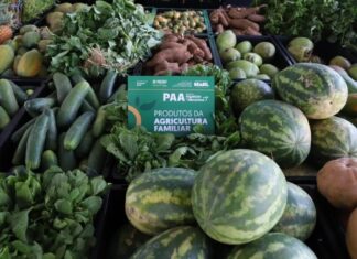 Edital do PAA no Amazonas abre inscrições para agricultores indígenas e comunidades tradicionais