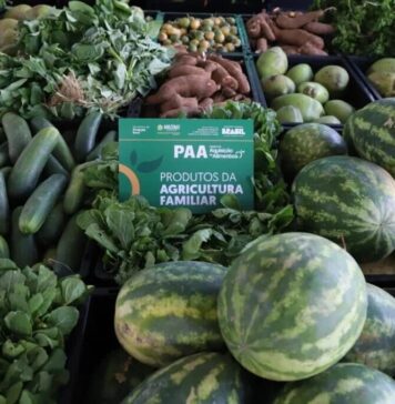 Edital do PAA no Amazonas abre inscrições para agricultores indígenas e comunidades tradicionais