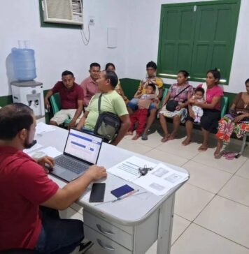 Itamarati: produtores de coco de murumuru expandem cultura com apoio do Idam